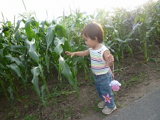 野菜畑のエネルギーに、娘も大興奮！